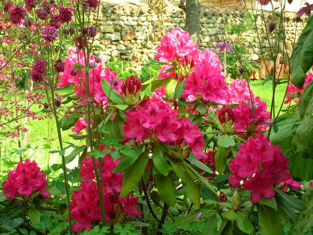 Le Logis Du Four Bed and Breakfast Soudan  Eksteriør billede